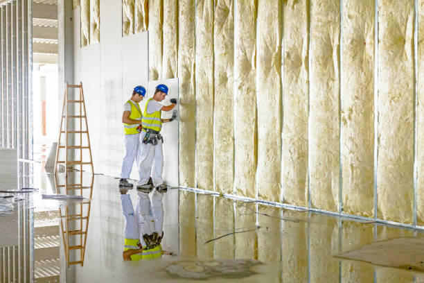 Best Cellulose Insulation in Middlebury, IN
